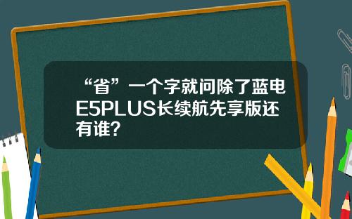 “省”一个字就问除了蓝电E5PLUS长续航先享版还有谁？