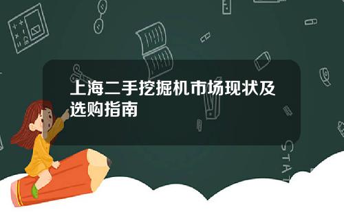 上海二手挖掘机市场现状及选购指南