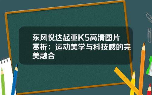 东风悦达起亚K5高清图片赏析：运动美学与科技感的完美融合