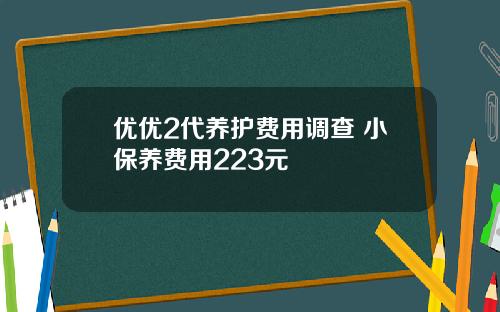优优2代养护费用调查 小保养费用223元