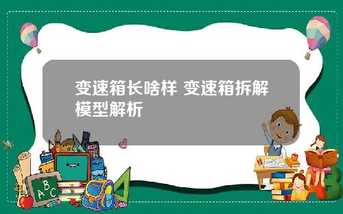 变速箱长啥样 变速箱拆解模型解析