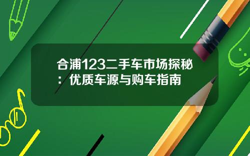 合浦123二手车市场探秘：优质车源与购车指南