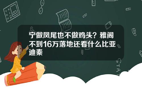宁做凤尾也不做鸡头？雅阁不到16万落地还看什么比亚迪秦