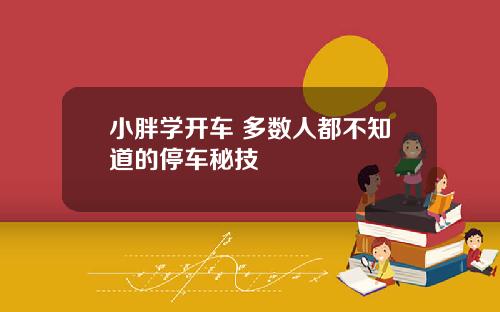 小胖学开车 多数人都不知道的停车秘技