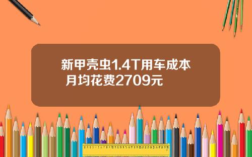 新甲壳虫1.4T用车成本 月均花费2709元