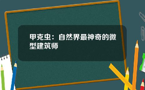 甲克虫：自然界最神奇的微型建筑师
