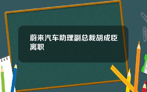 蔚来汽车助理副总裁胡成臣离职