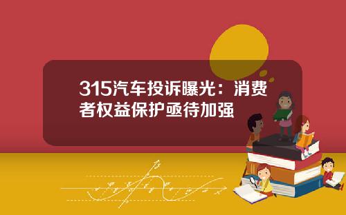 315汽车投诉曝光：消费者权益保护亟待加强